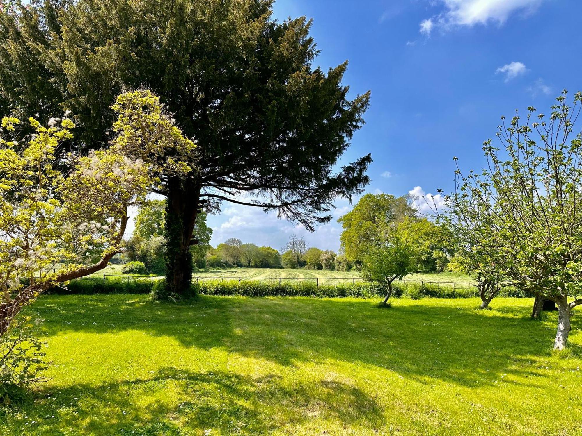 Octon Cottages Luxury 1 And 2 Bedroom Cottages 1 Mile From Taunton Centre Buitenkant foto