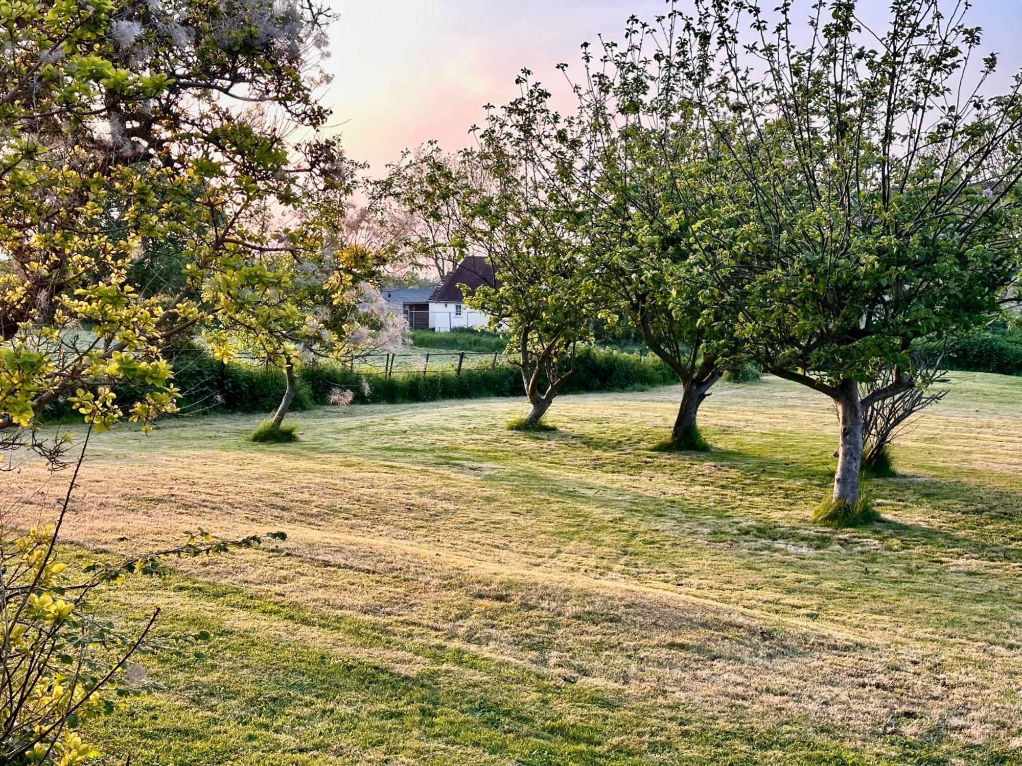 Octon Cottages Luxury 1 And 2 Bedroom Cottages 1 Mile From Taunton Centre Buitenkant foto